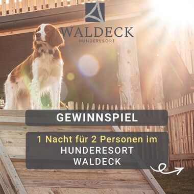 GEWINNSPIEL
Eine kleine Auszeit im Bayerischen Wal ...